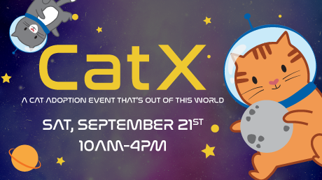 CatX. A cat adoption event that's out of this world. Sat, September 21st 10am-4pm. Cartoon cats in astronaut helmets floating around planets and stars in a purple galaxy.