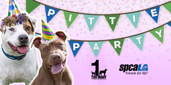 Pittie Party banner with dogs