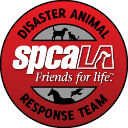 Disaster Animal Response Team (DART) | spcaLA