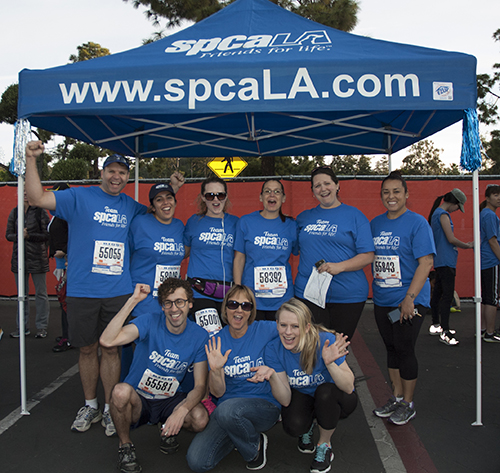 spcaLA team at the LA Marathon and 5K Run under blue canopy