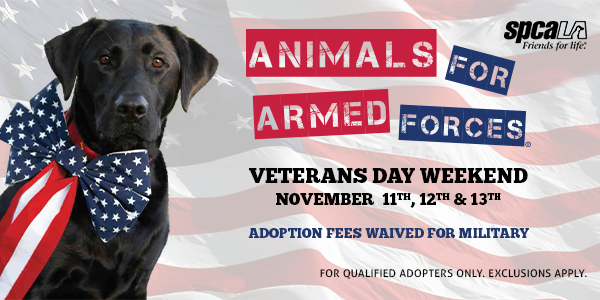 Animals for Armed Forces Adoption Event | spcaLA