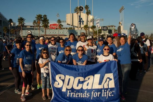 spcaLA team at the LA Marathon and 5K Run in front of Dodger Stadium