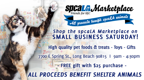 Torbi cat swiping hanging toy in front of marketplace background with spcaLA Marketplace logo and text 'Shop the spcaLA Marketplace on Small Business Saturday. High quality pet foods & treats - toys - gifts. 7700 E Spring St, Long Beach 90815 9am-4:30pm. Free gift with $25 purchase. All proceeds benefit shelter animals'