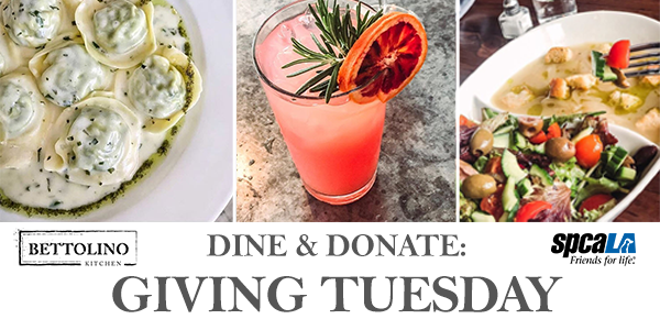 Tortelloni, red grapefruit cocktail, and salad and soup photo above text 'Dine & DOnate: Giving Tuesday' with Bettolino Kitchen logo and spcaLA logo