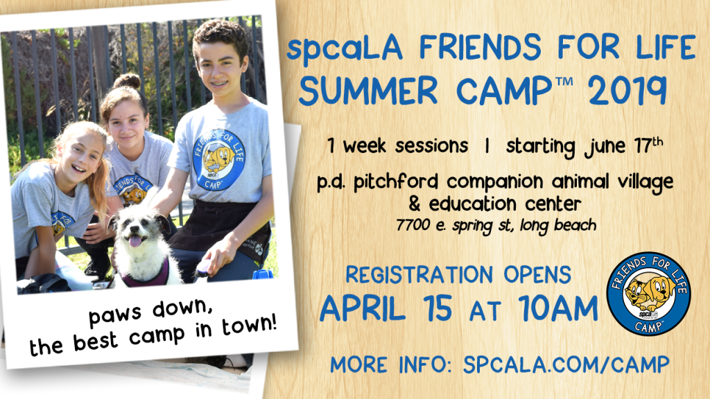spcaLA Friends For Life Summer Camp 2019. 1 week sessions starting June 17th. P.D. Pitchford Companion Animal Village & Education Center. 7700 E. Spring St, Long Beach. Registration Opens April 15 at 10am. More info: spcaLA.com/camp. Cartoon cat and dog inside a blue circle logo. Campers outside with a shelter dog photo. 