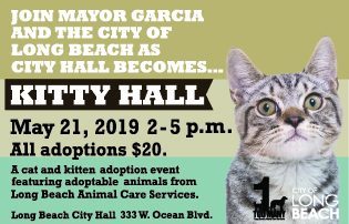 Text: Join Mayor Garcia and the city of Long Beach as city hall becomes...Kitty Hall. May 21 2019 2 - 5 pm. This is a kitten and cat adoption event featuring cats from Long Beach Animal Care Services, all adoption $20
