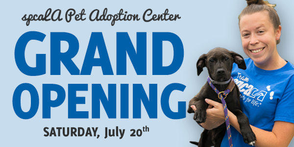 spcaLA Pet Adoption Center Grand Opening Saturday, July 20th. Woman in blue Team spcaLA tshirt holding large black puppy in her arms.