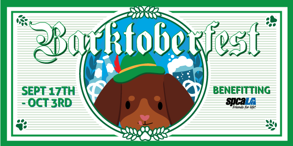 Illustrated dog promoting event- Barktoberfest