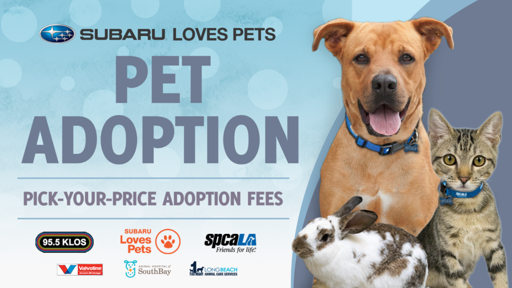 Subaru Loves Pets Pet Adoption. Pick-your-price adoption fees. Large brown dog with tongue out sitting next to tabby kitten and white and brown bunny.