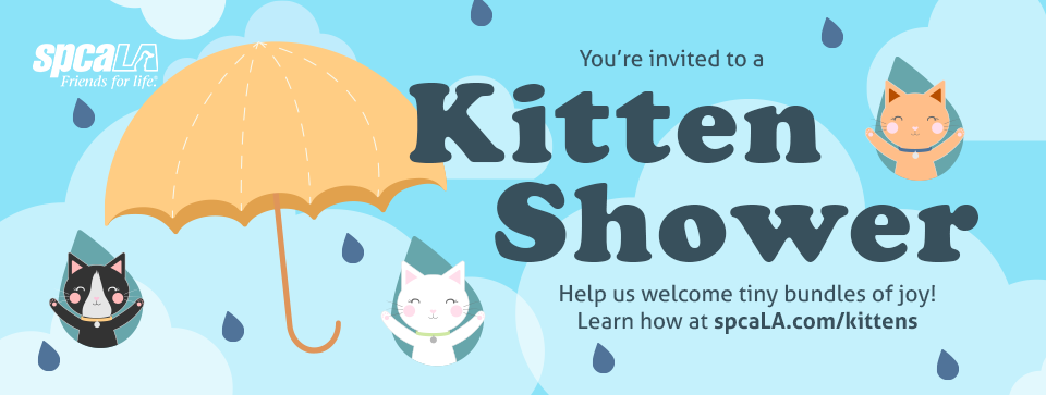 Yellow umbrella with