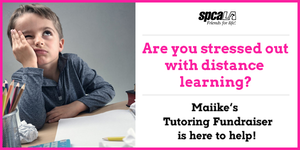 child with hand to face