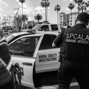humane officers with vehicle