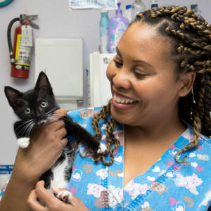vet tech smiling at kitten