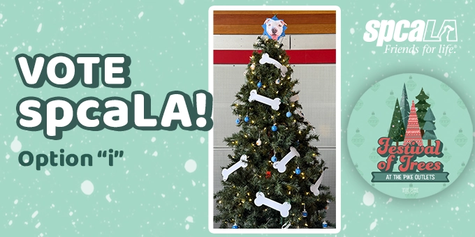 Festival of Trees 2025-gg