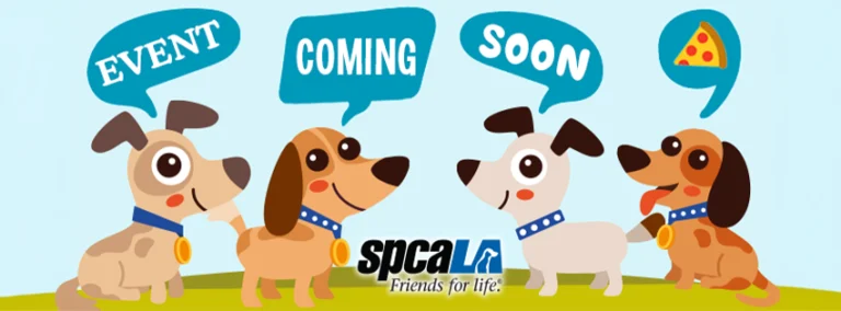 spcaLA 2027 Pet Calendar Contest