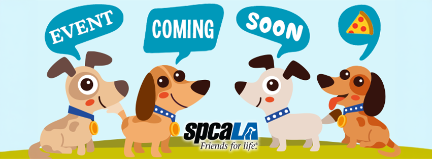 A sweet way to fundraise for spcaLA