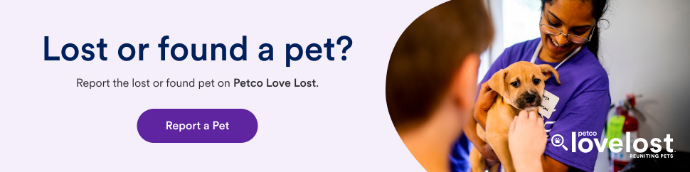 Lost or Found Banner
