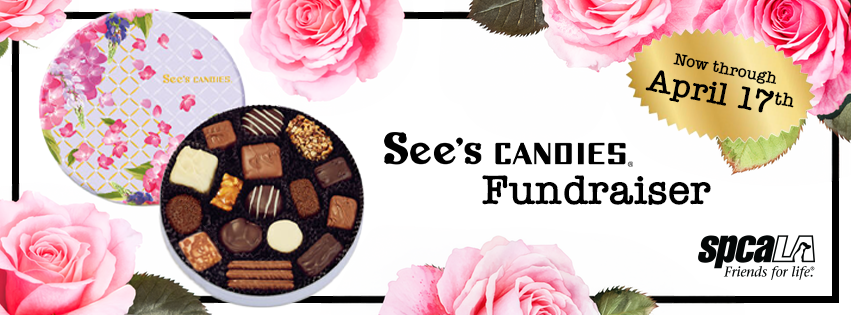 A sweet way to fundraise for spcaLA