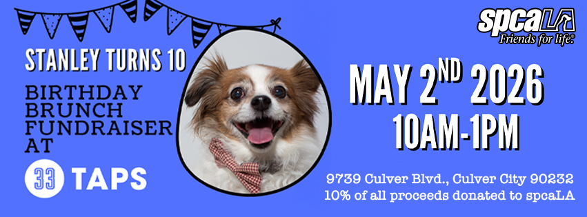 Happy Birthday, Stanley Tucci!