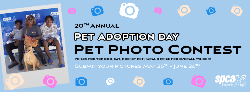 Is your pet the cutest?
