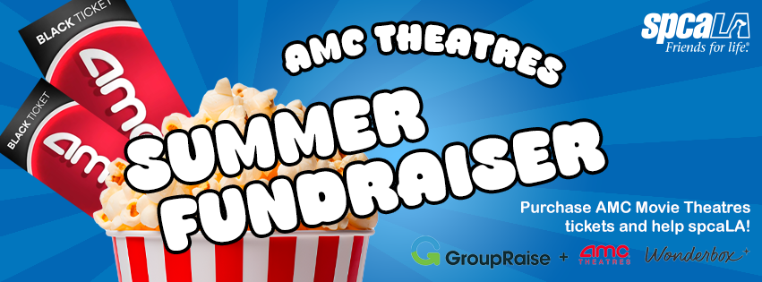 Enjoy a summer blockbuster and help spcaLA!