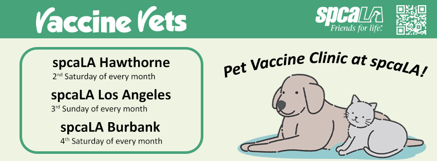 Pet vaccines in Hawthorne